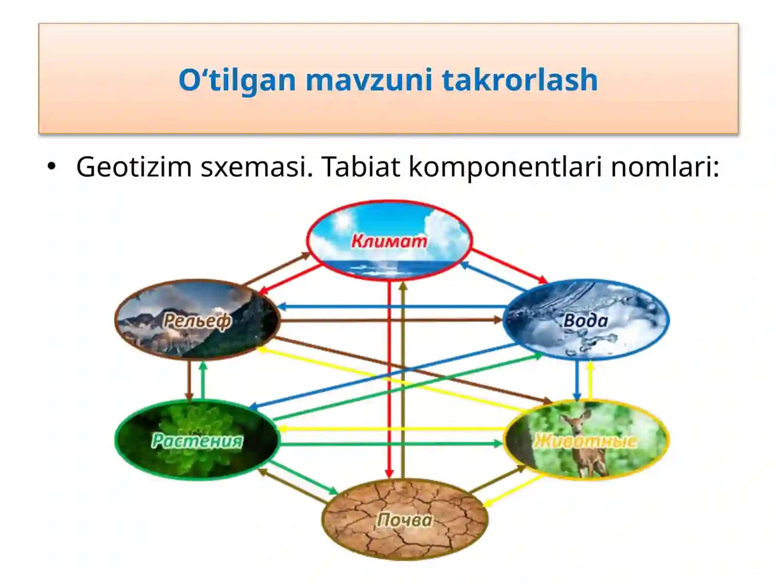 Yer yuzi aholisi va uning tabiat g'oyasi 4