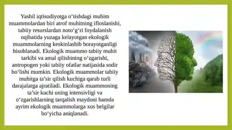 Ekologik Siyosat va Global Ekologik Xavfsizlik Muammolari 4