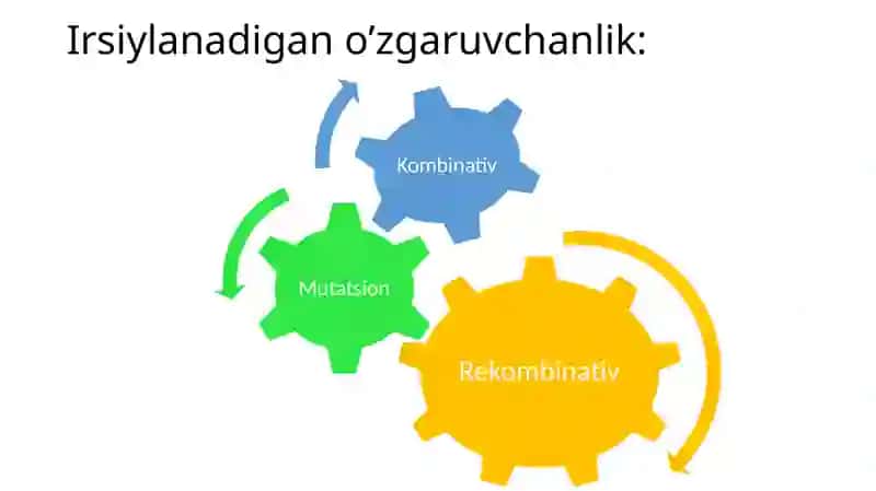 Genetik materialning o’zgaruvchanligi. O’zgaruvchanlik va uning xillari 4