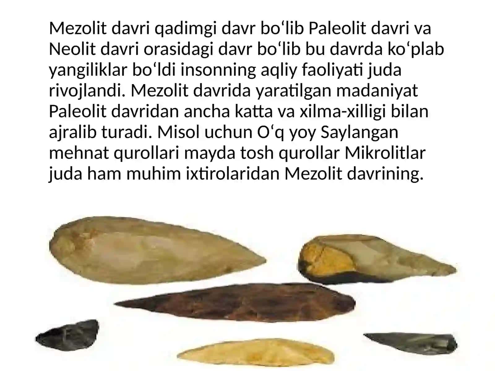 Mezolitdavriningboshlanishi 4