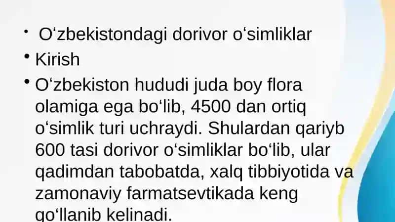 O’zbekistondagi dorivor o’simliklar. Alisher Navoiy- o’zbek tilining asoschisi 4