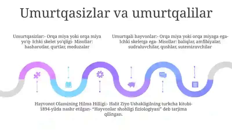 Hayvonot Olamining Hilma Hilligi 4