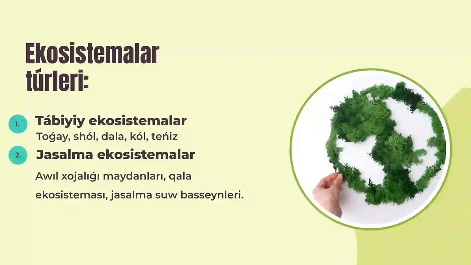 Ekosistemalardi analizlew ha’m bahalaw usillari 4