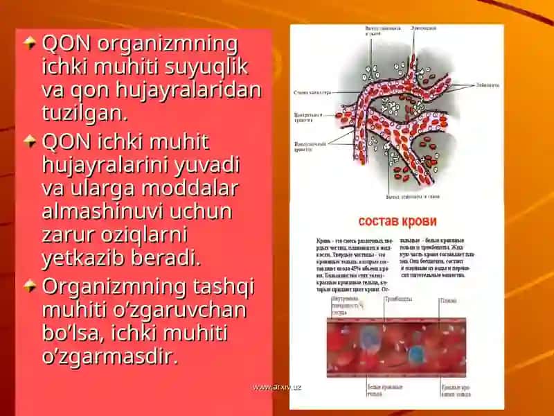 Qon fizik kimyoviy hususiyatlari 4