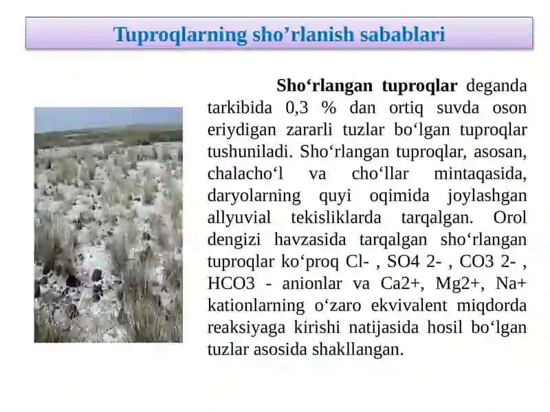 Sho’rlangan tuproqlar va uni oldini olish chora tadbirlari 4