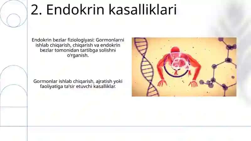Endokrin bezlar fiziologiyasi 4