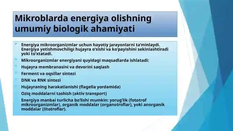 “Mikroorganizmlar tomonidan energiya olish usullari. Hujayra energiyasining shakllari va hosil bo‘lish usullari. Energetik balans (bijg‘ish). Uglevodlarni fermentatsiya qilish yo‘llari. Fermentatsiya turlari. 4