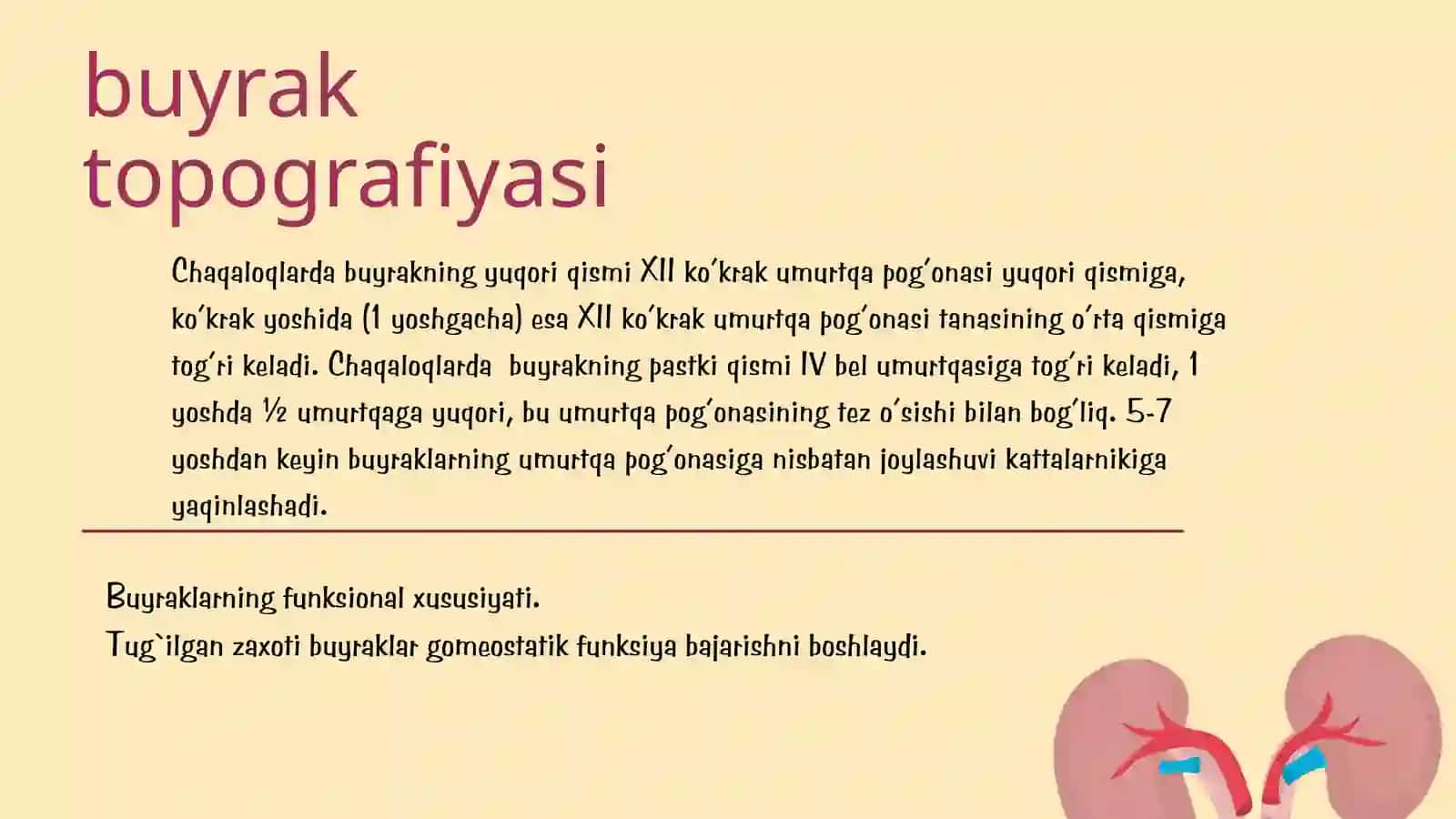 Bolalarda buyraklarni anatomo-fiziologik hususiyatlari. 4