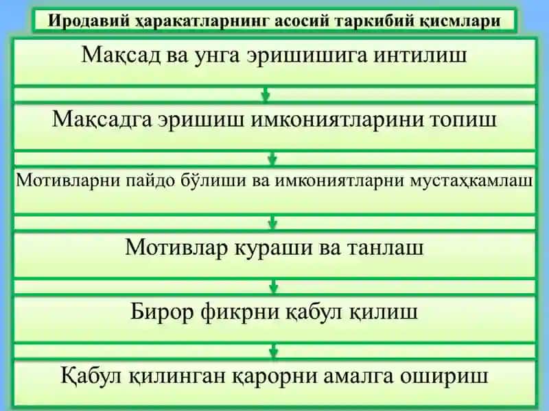 Ирода 4