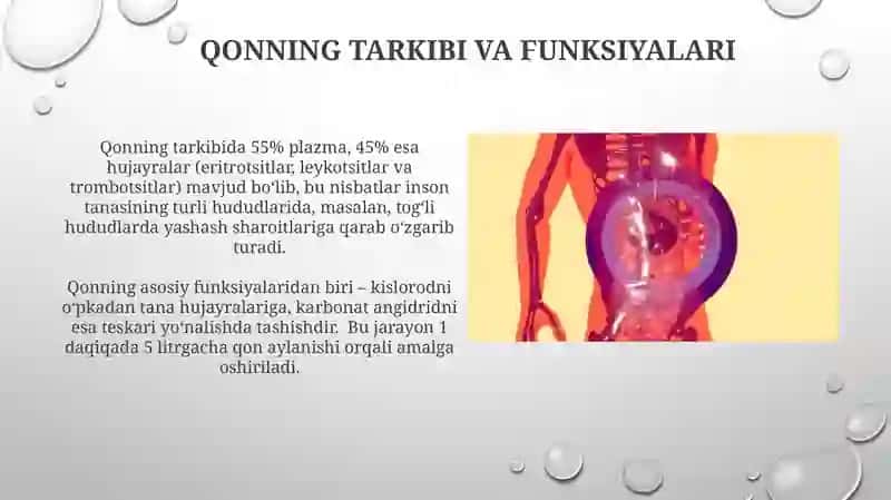 Qon sistemasi fizologiyasi 4