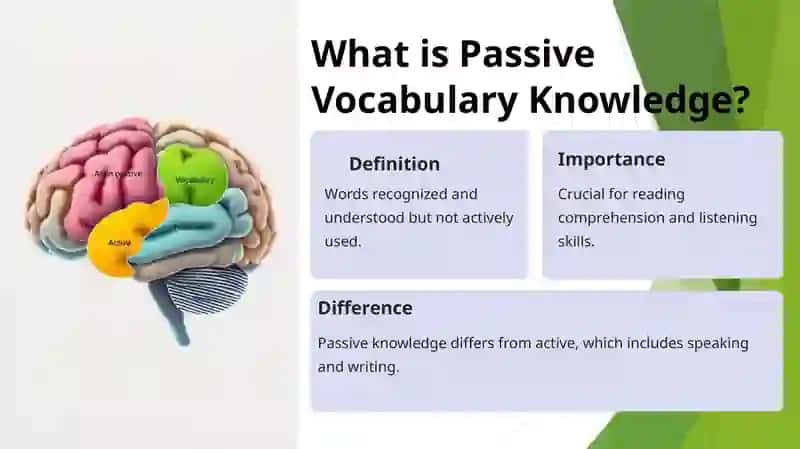 Passive Vocabulary Knowledge 4
