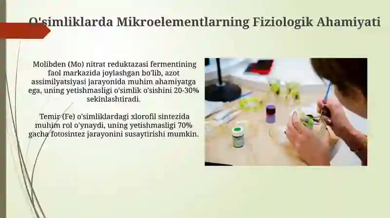 O'simliklarda Makroelementlarning Fiziologik Ahamiyati 4