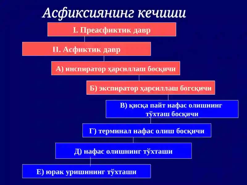 Механик асфиксия-механик таъсир сабабли организмда кислород ва карбанат ангидриднинг ку’пайиши 4