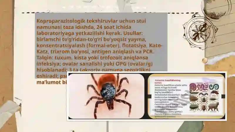 Parazitar kasaliklar va ularni davolash diagnostika usullari 4