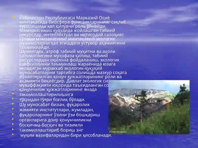 Юксак Экологик Маданият 4