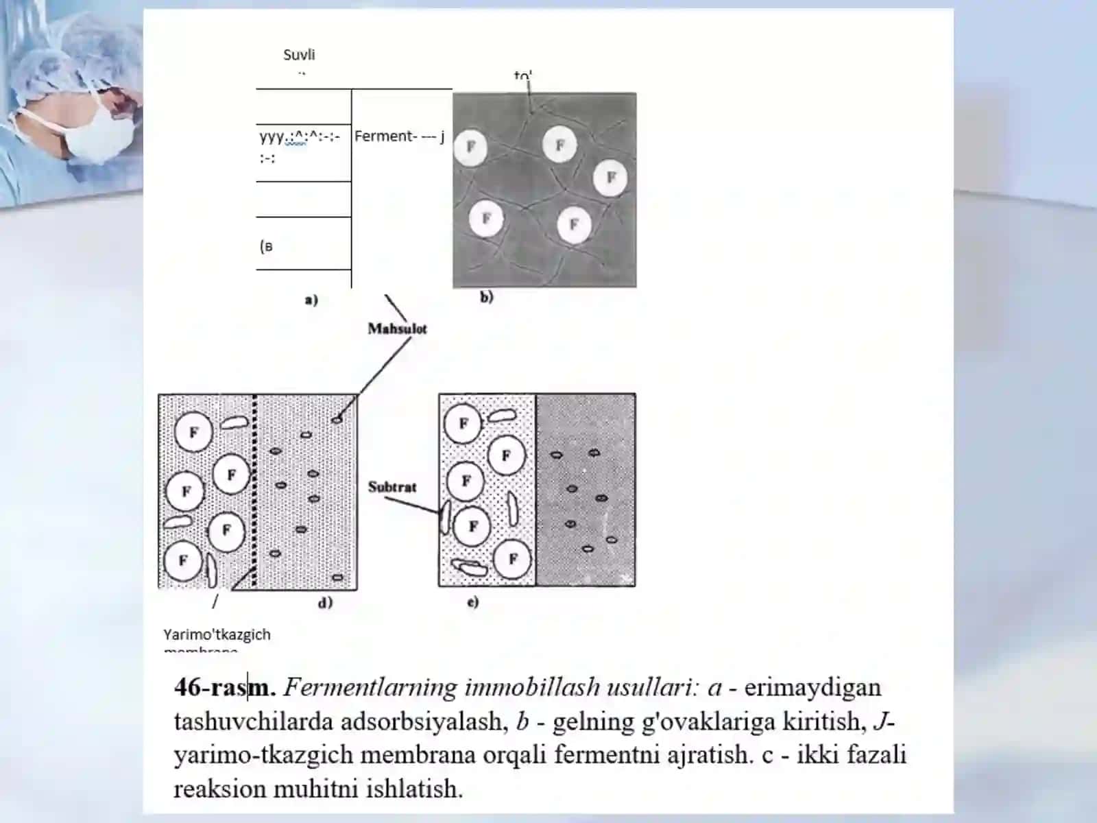Fermentlarni immobillash va barqarorlash texnologiyasi 4