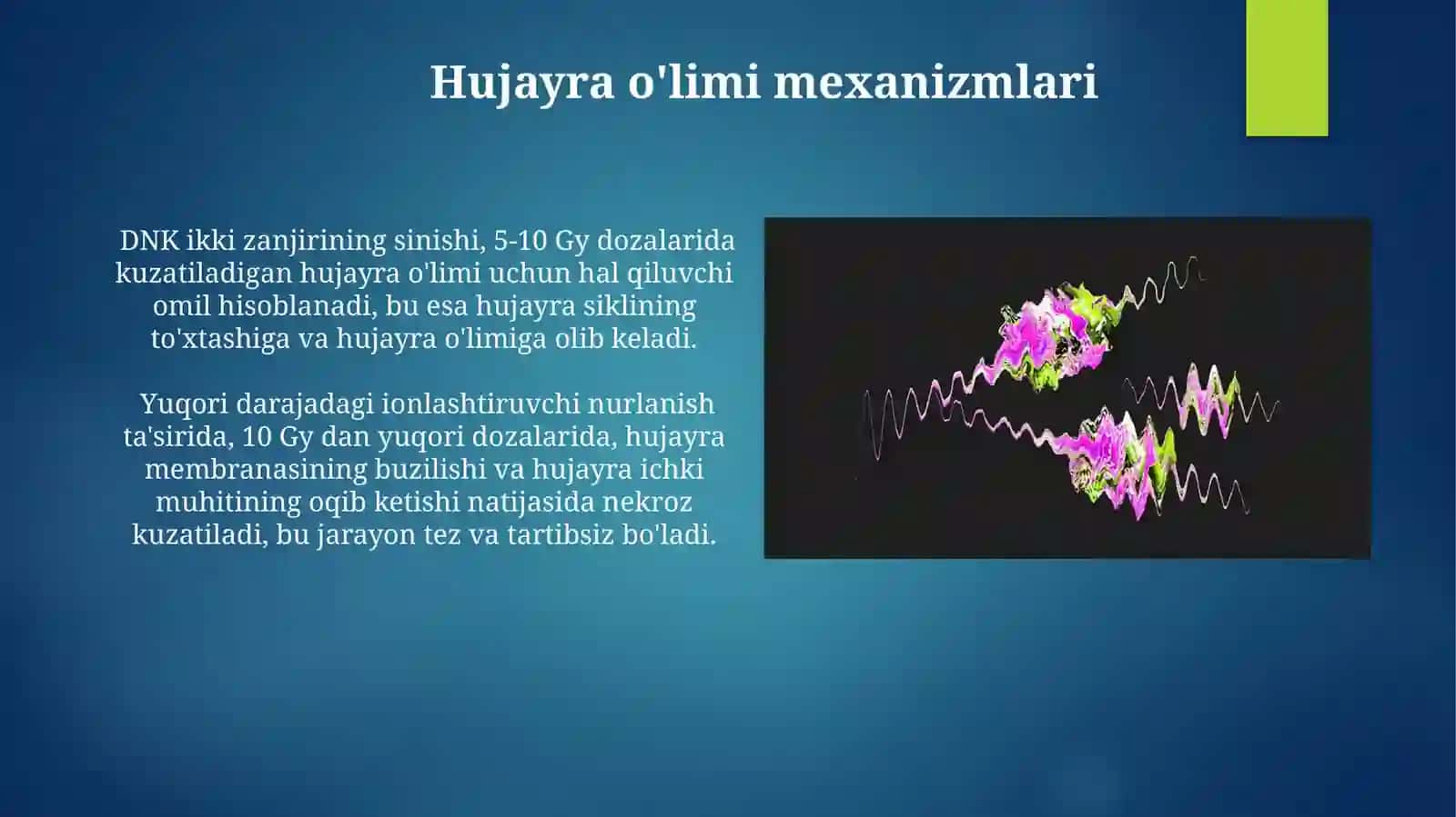 Ionlashtiruvchi nurlarni hujayraga ta’siri 4