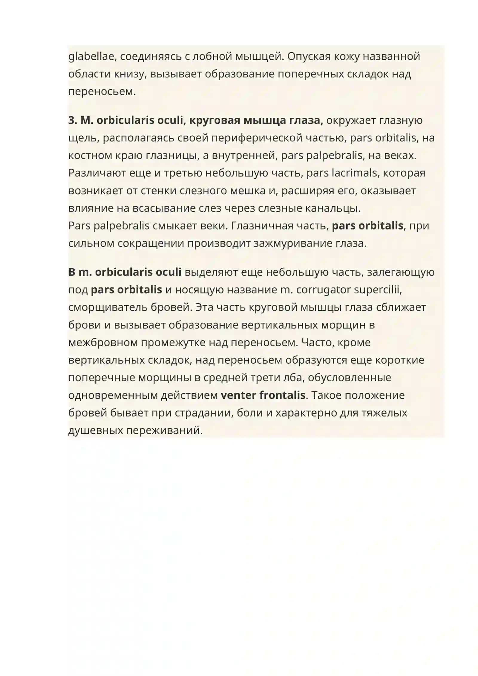 Мышцы головы. Мимические мышцы или мышцы лица 4