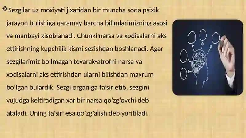 Sezgi va idrok psixik jarayonlarning boshlang’ich holati ekanligi. 4