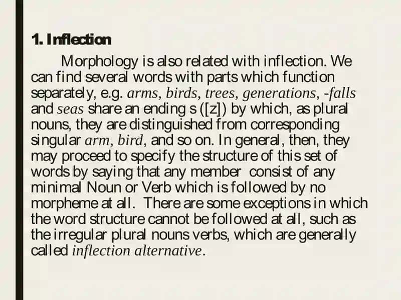Noun phrase category and its grammatical categories 4