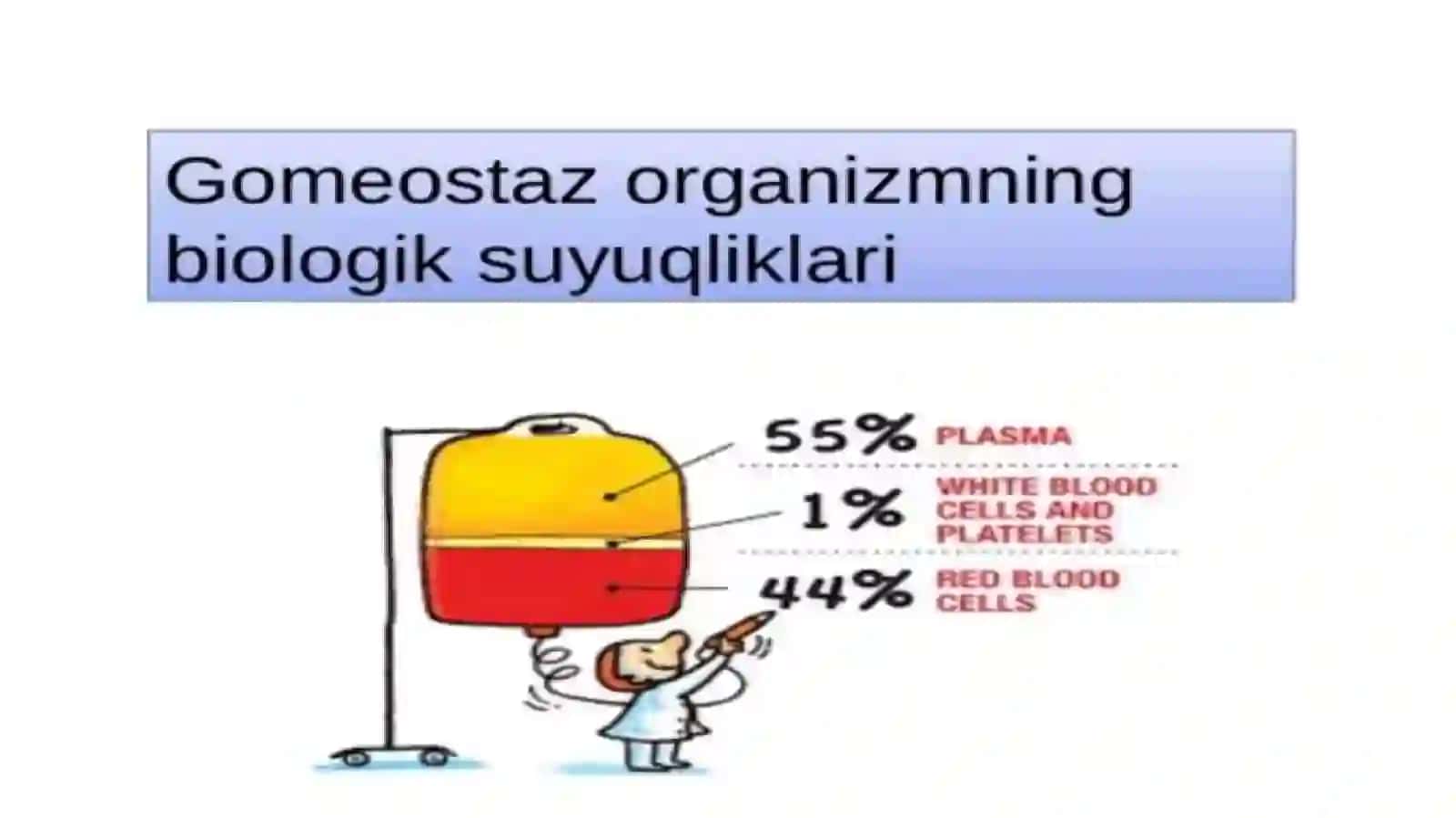 Marğilon Abu Ali ibn Sino nomidagi jamoatsalomatligi tibbiyot texnikumining Davolashishiyo'nalishi 4