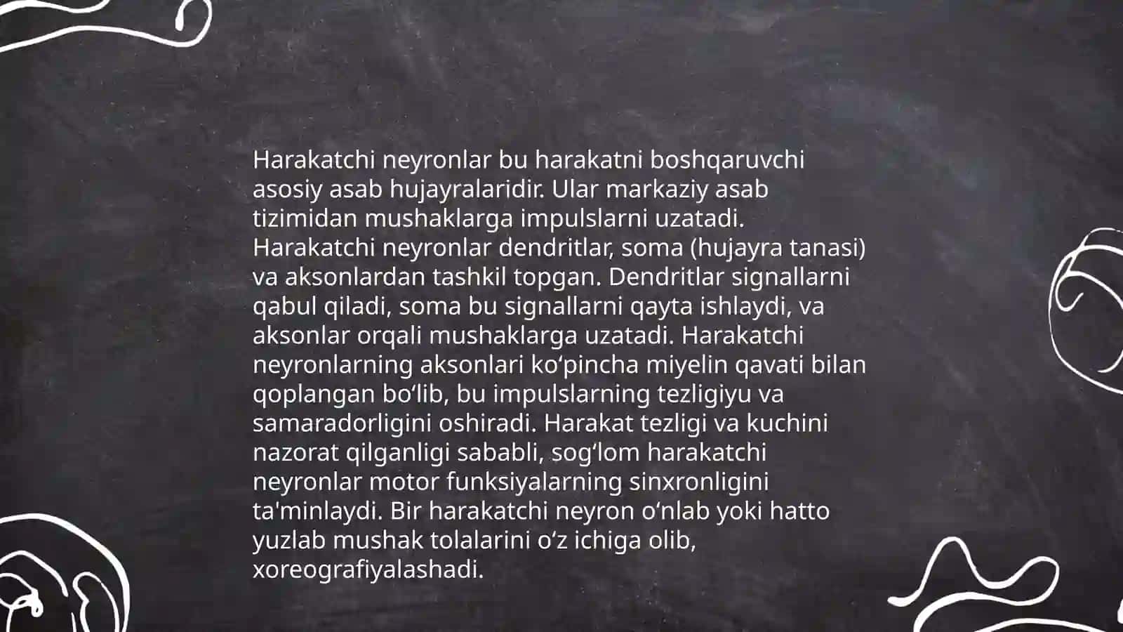 ORQA MIYANING HARAKATLANTIRUVCHI NEYRONLARINI TURLARI. ULARNING MORFOFUNKSIONAL XUSUSIYATLARI 4