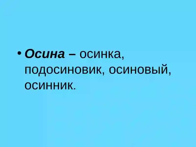 Однокоренные слова 4