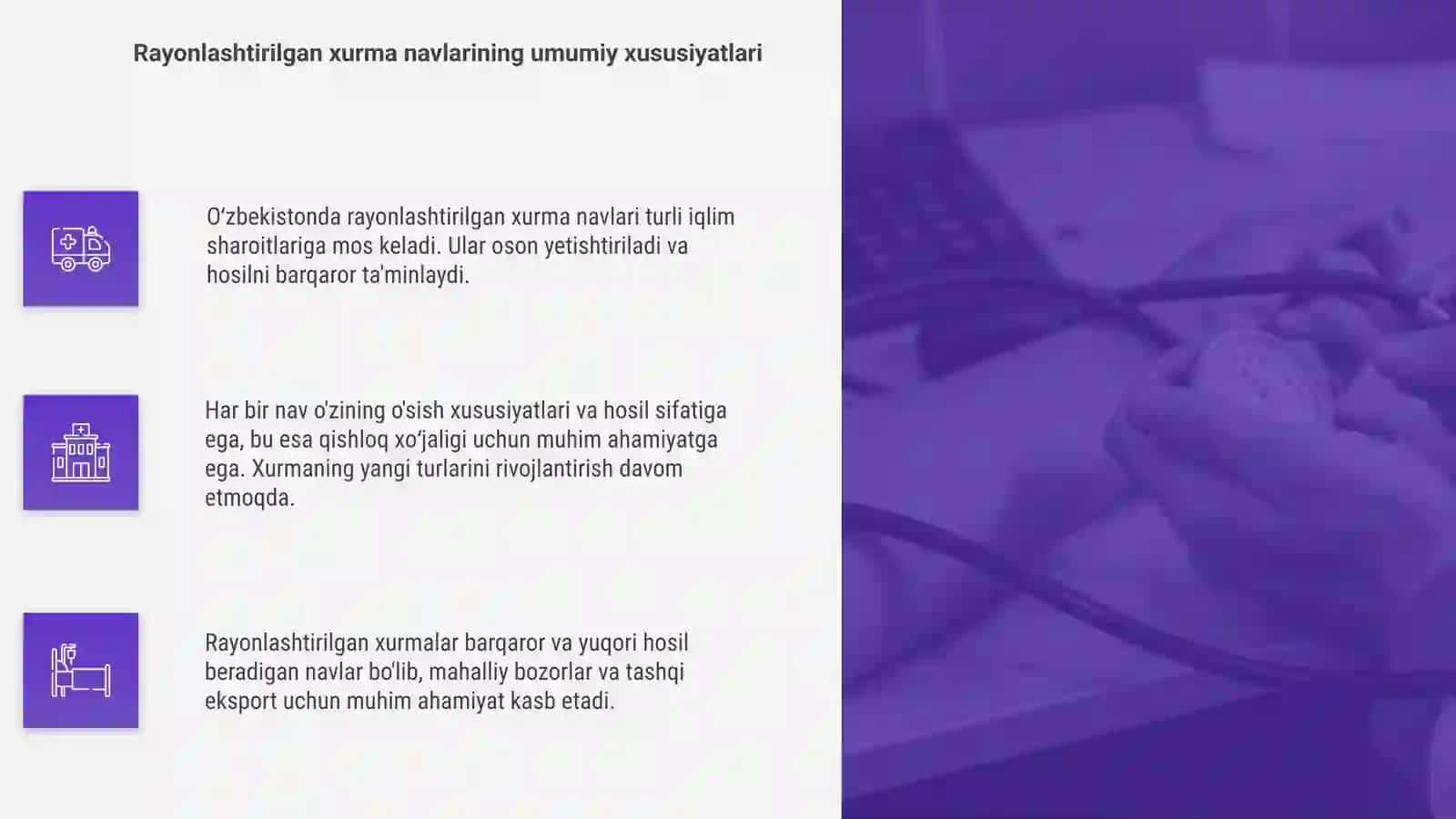 Oʻzbekistonda yetishtiriladigan xurmoning rayonlashtirilgan navlariga tavsif berish 4