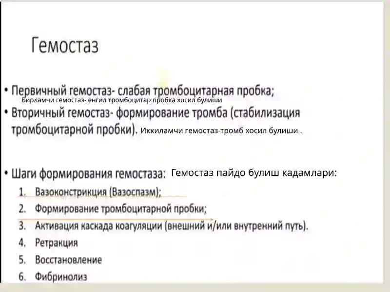 КОН ИВИШ ЖАРАЁНИ 4