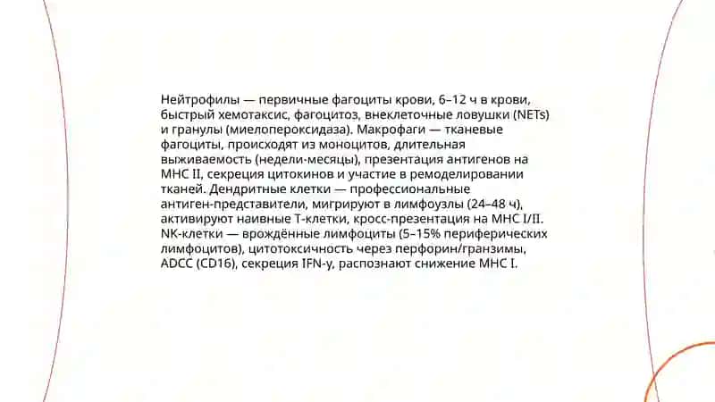 Иммуннaя система 4