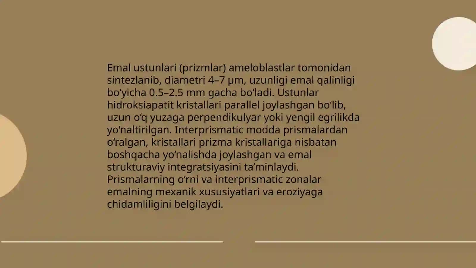 Tish toqimasi gistologiyasi 4
