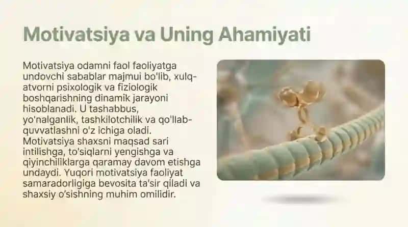Motivning tuzilishi va funksiyalari 4