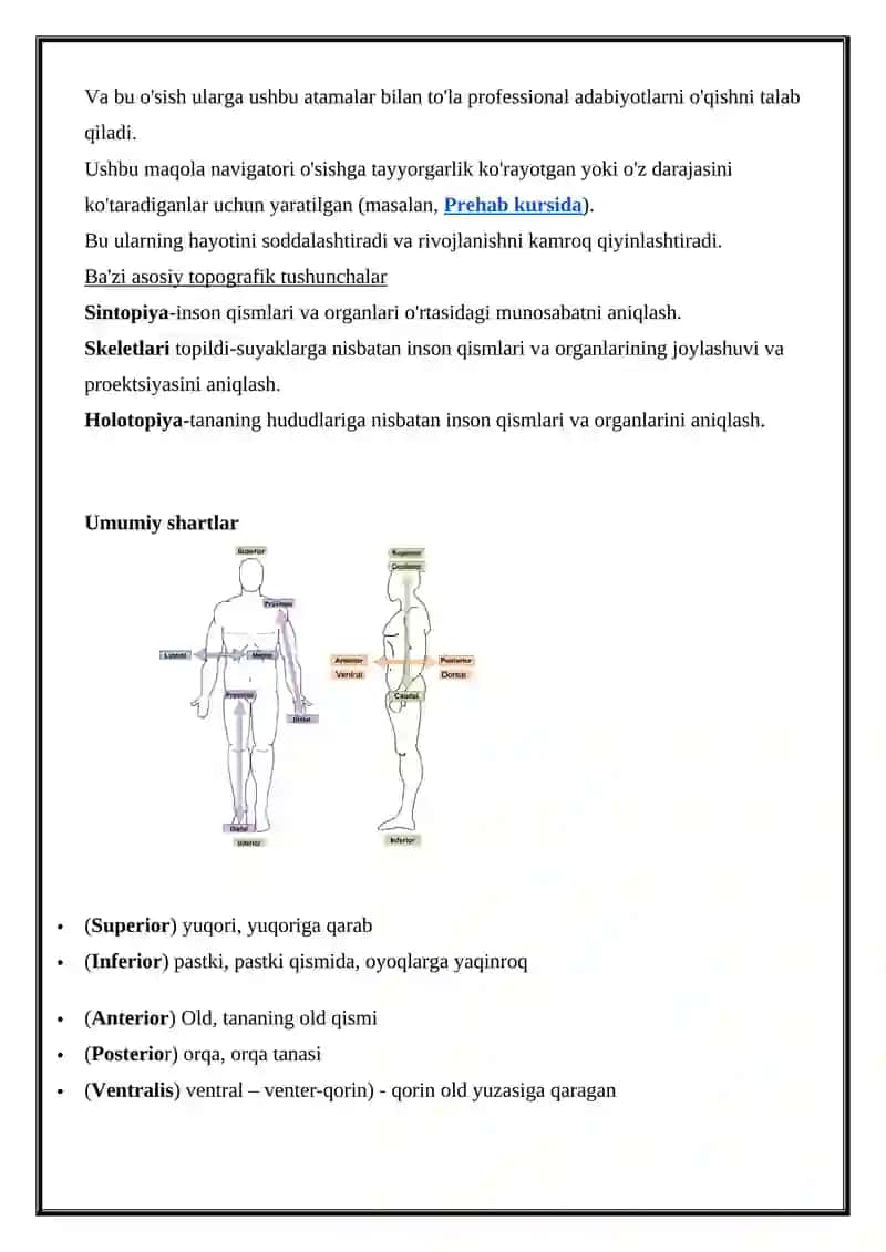ANATOMIK TERMINLAR VA IBORALAR 4