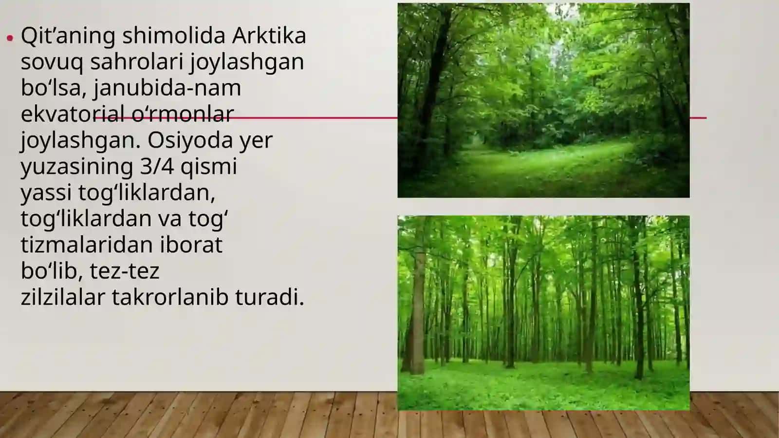 Osiyo turizmi 4