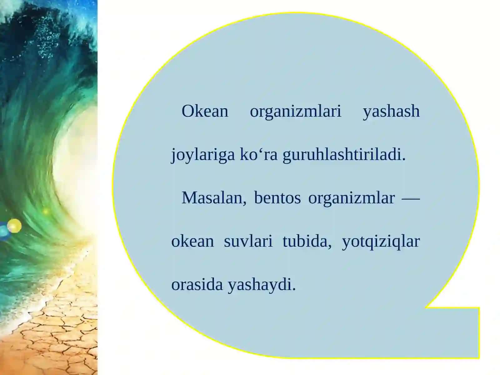 Okean boyliklari, ulardan foydalanish va muhofaza qilish 4