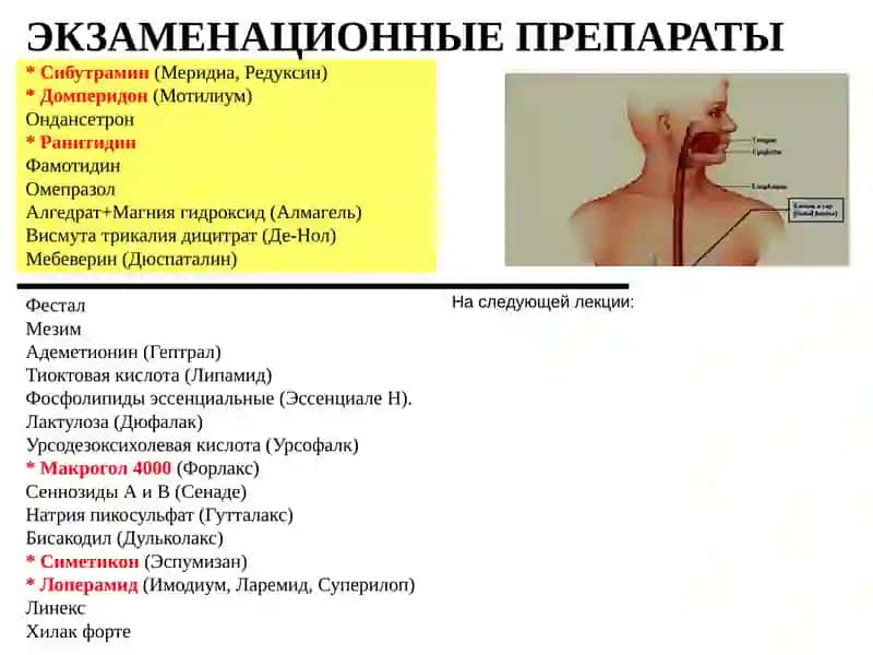 ЛС, РЕГУЛИРУЮЩИЕ ФУНКЦИИ ЖКТ 4