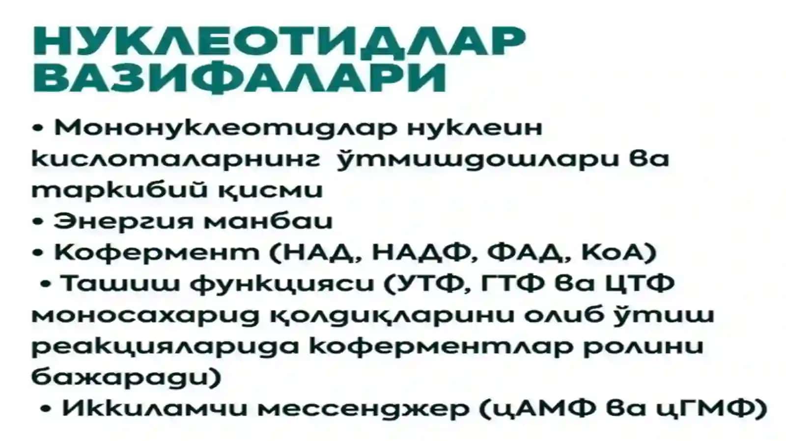 Nukleotidlar almashinuvi 4