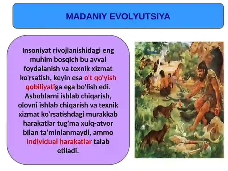 Madaniy evolyutsiya, madaniy meros, inson evolyutsiyasini hal qiluvchi omillar 4