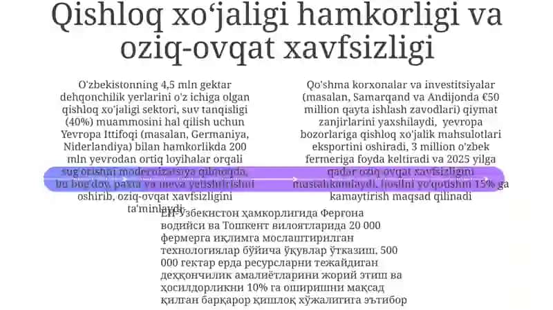 O'zbekistonning Yevropa Ittifoqi mamlakatlar bilan istiqbolli hamkorligi 4