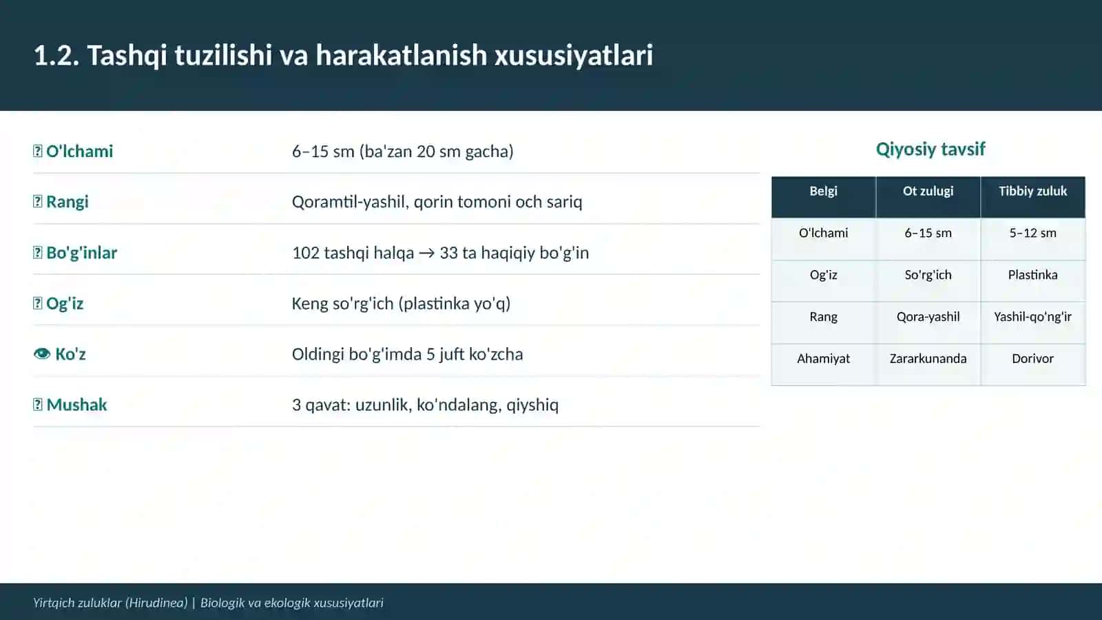Yirtqich zuluklar (Hirudinea) 4