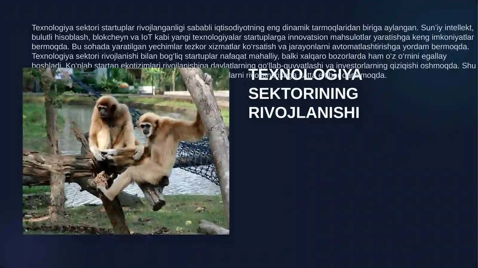 Moliyaviy texnologiyalar va sog'liqni saqlashdagi startuplarning o'sish sur'atlari 4