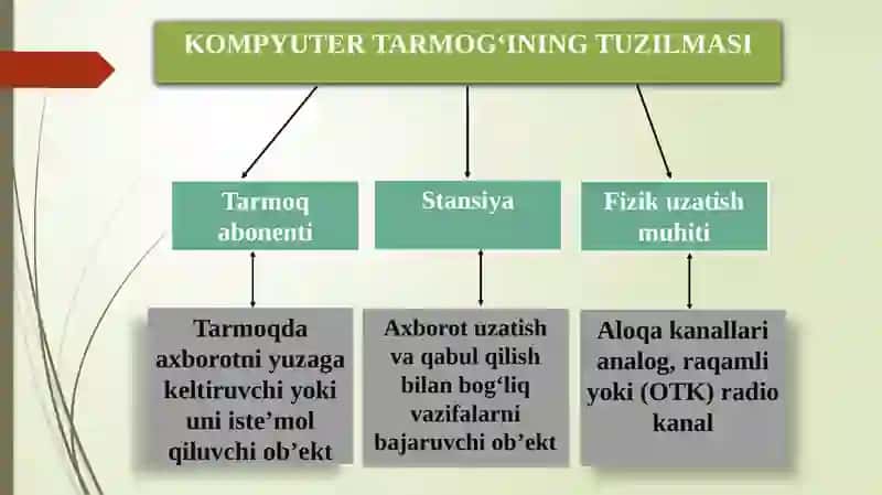 TARMOQ TEXNOLOGIYALARI FANIGA kirish 4