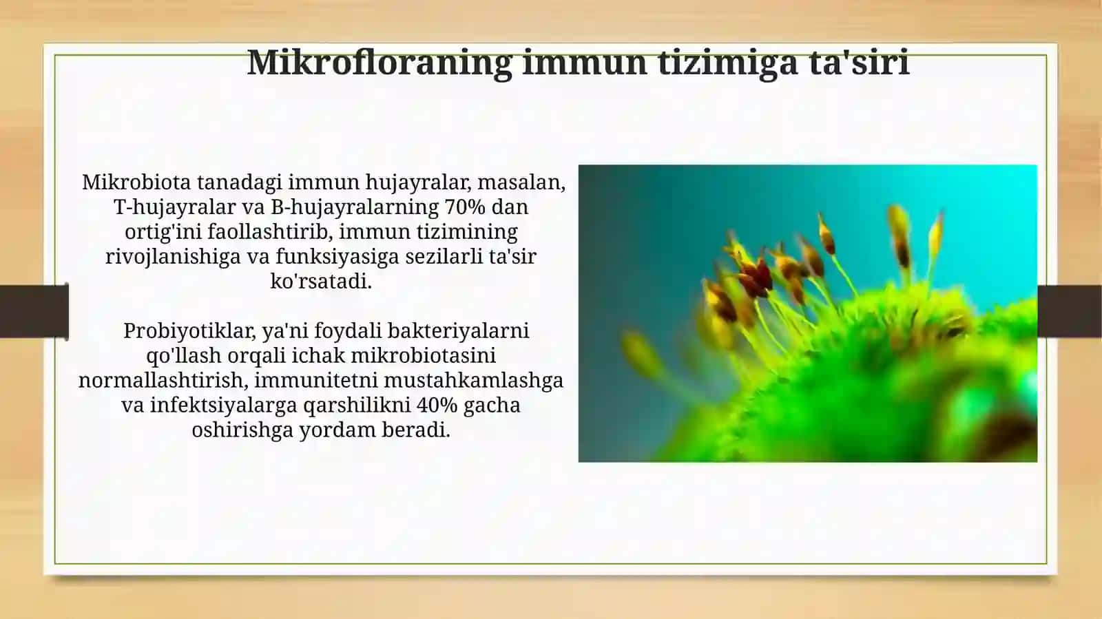 Hayvonlar organizmidagi mikroflora 4