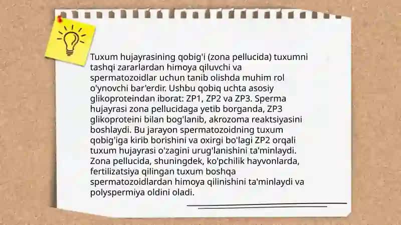 Tuxum hujayraning xususiyatlari 4