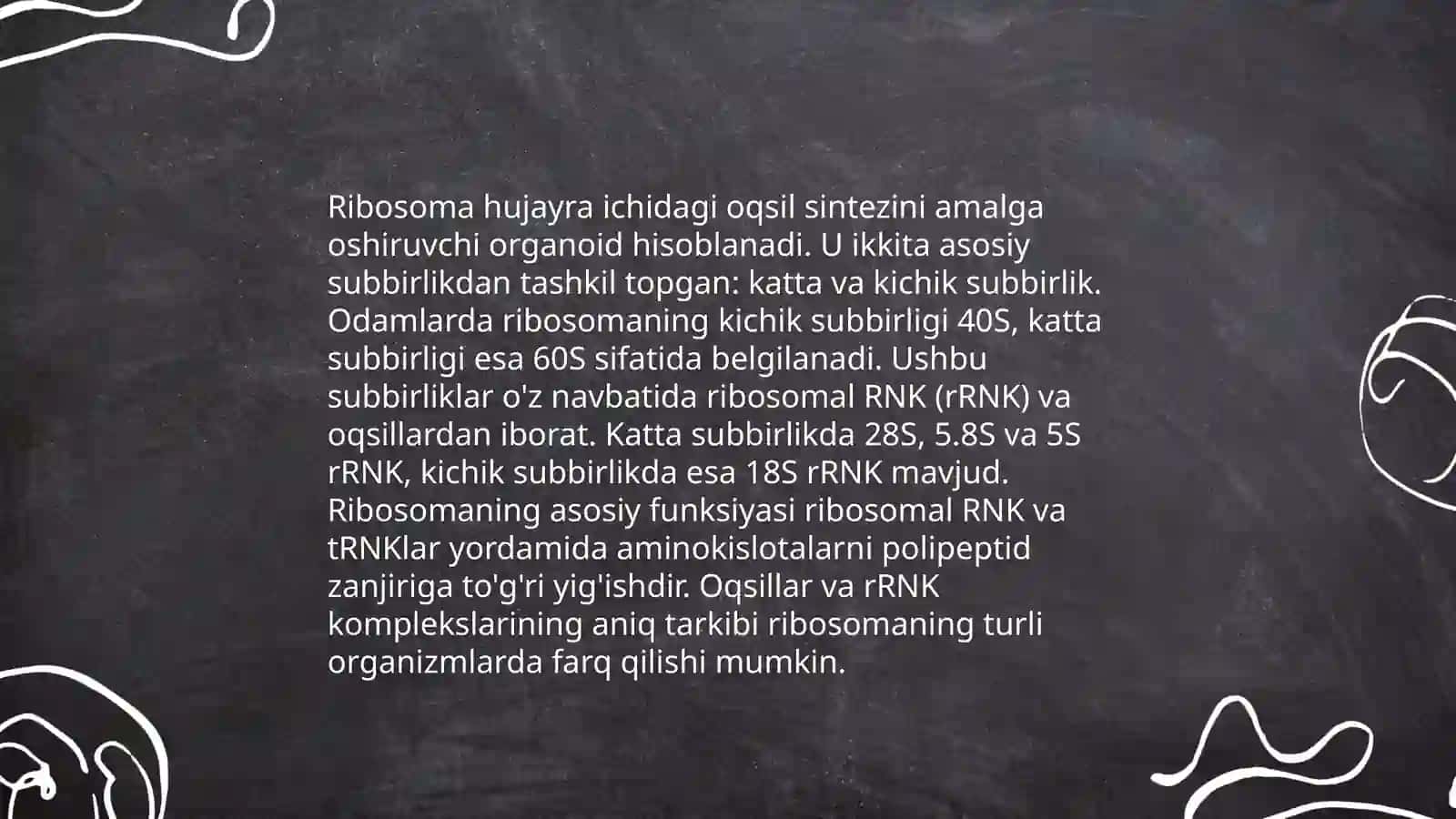 Ribasomaning mexano-kimyoviy xususiyatlari 4