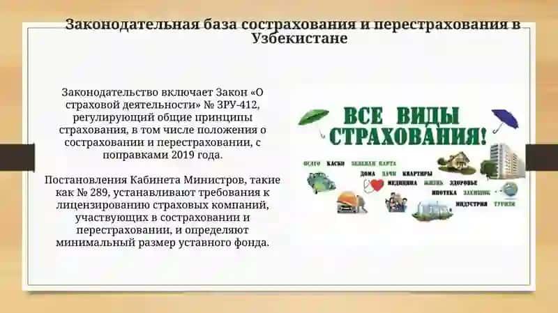 Основы сострахования и перестрахования в Узбекистане 4