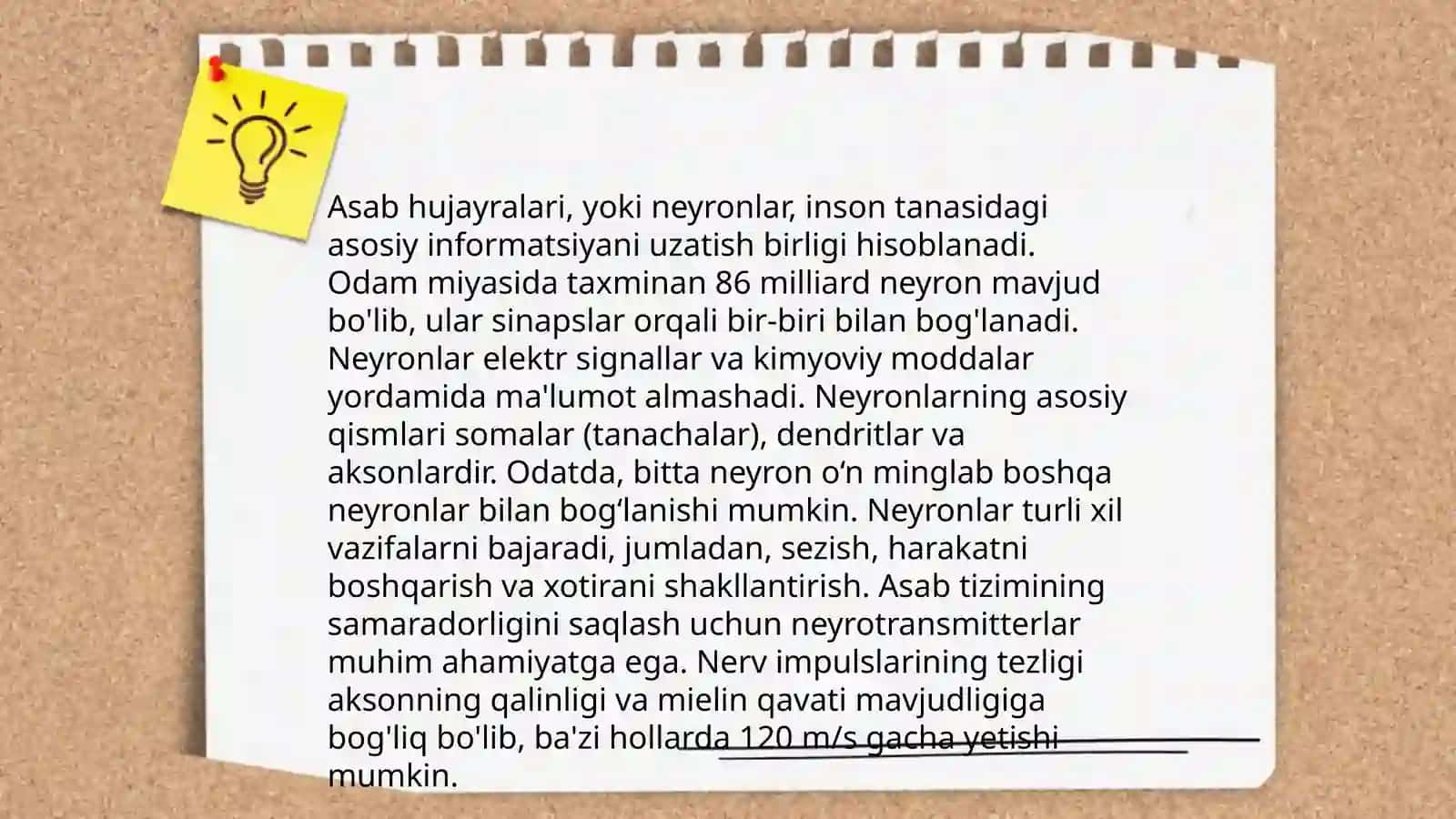 Asab tizimi 4