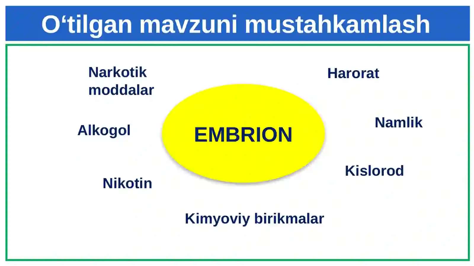 Rivojlanishning umumiy qonuniyatlari. Biogenetik qonun. Embrionlarning o‘xshashliklari 4
