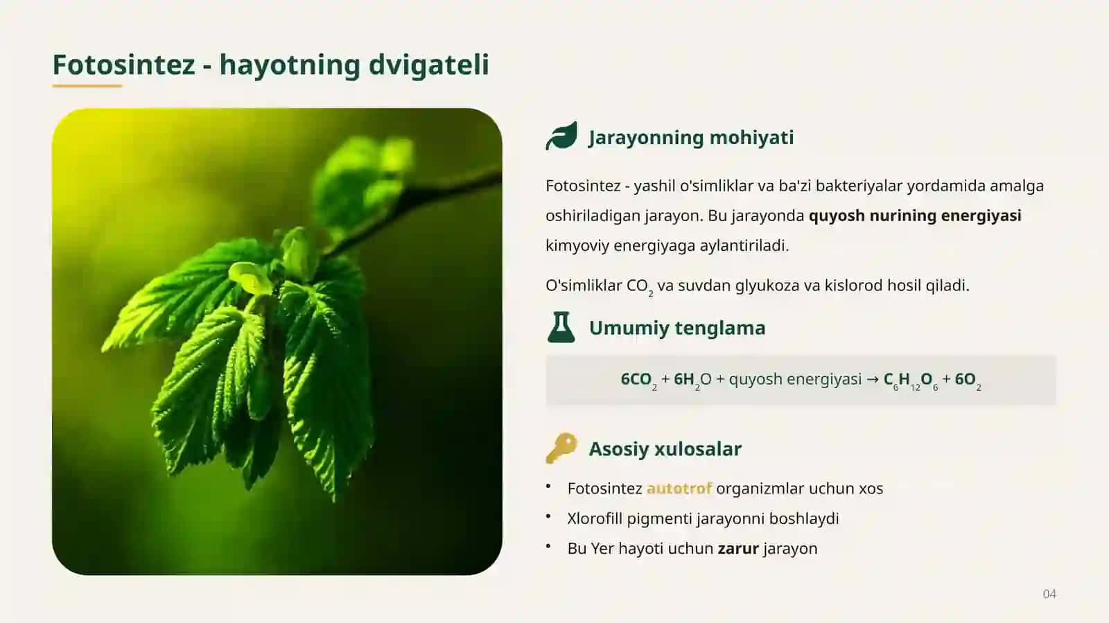 FOTOSINTEZ — TABIATNING ENG BUYUK “ZAVODI” 4