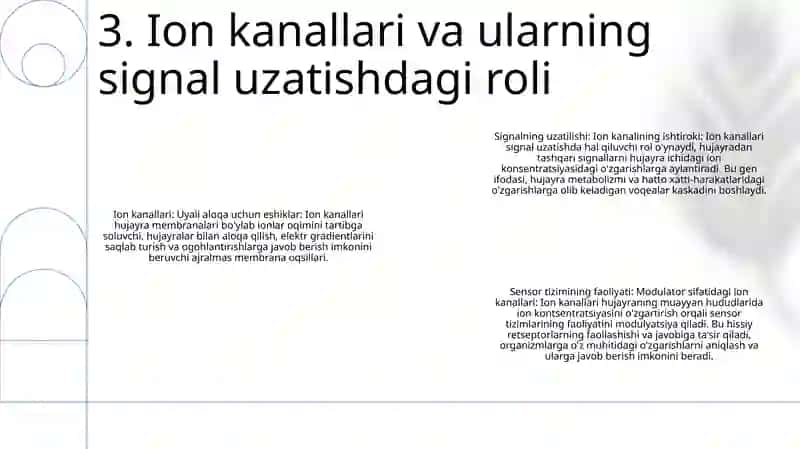 Sensor Tizimlar Faoliyatining Biokimyoviy Asoslari 4